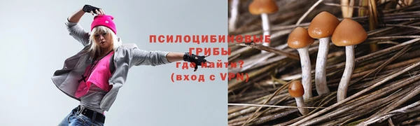 гидра Снежногорск
