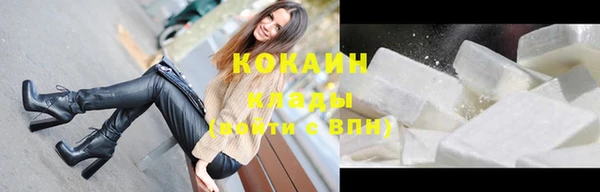 твердый Аркадак
