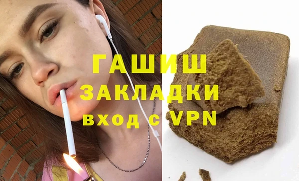 шишки Слюдянка