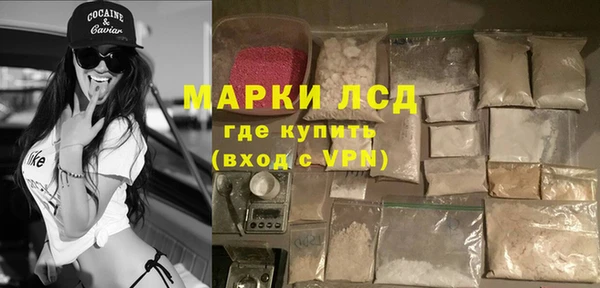шишки Слюдянка