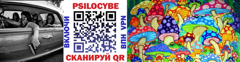 купить закладку Кущёвская Псилоцибиновые грибы Magic Shrooms